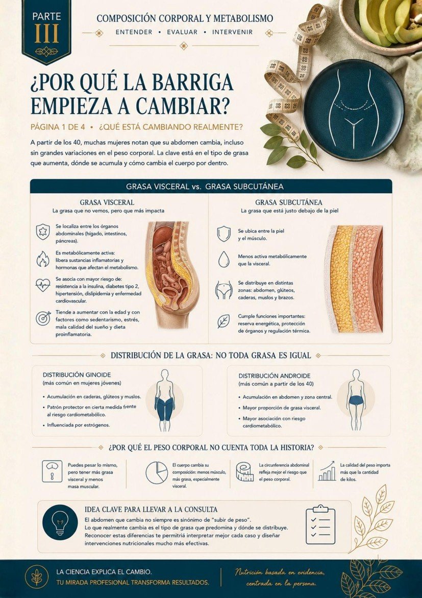 Página interna: por qué la barriga empieza a cambiar